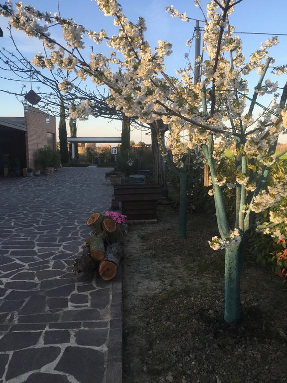 Dolce Casetta Faenza Exterior photo